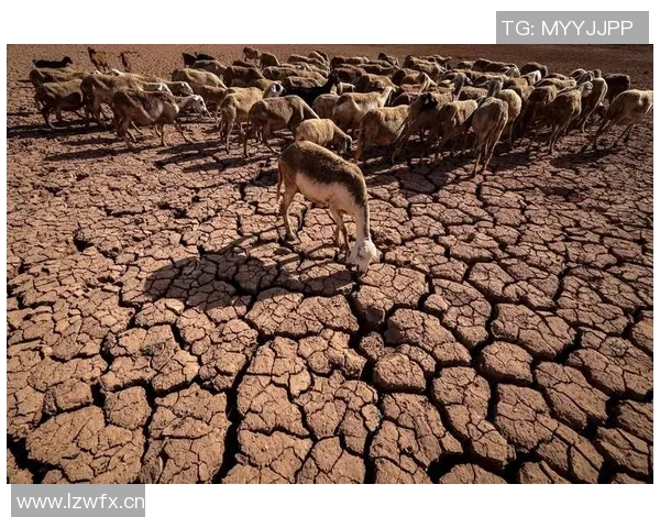 全球气候变化加剧 各国紧急应对措施再升级 保护地球生态刻不容缓